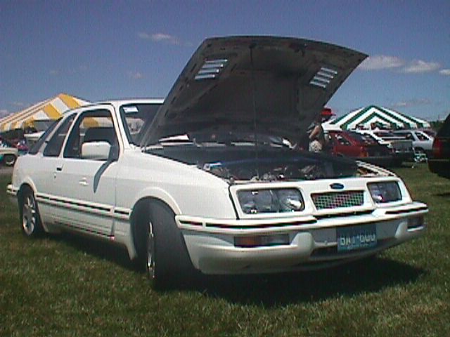86NickMannarino.jpg