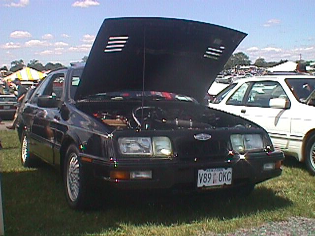 89DavidZiminski.jpg