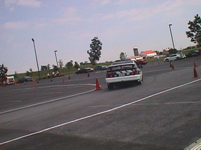autox stewart mathews (1).jpg
