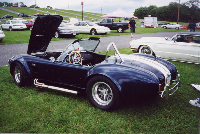 cobra2.jpg