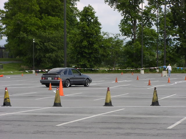 P6031044.JPG