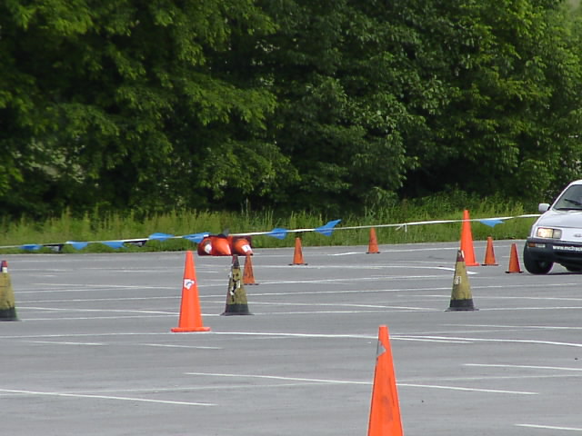 P6031601.JPG