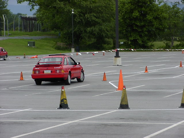 P6031637.JPG