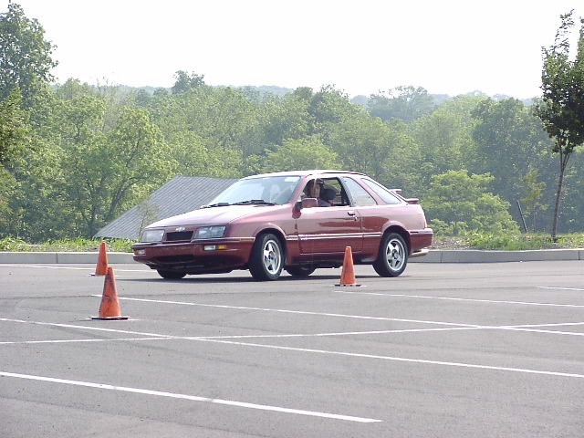 P6024049.JPG