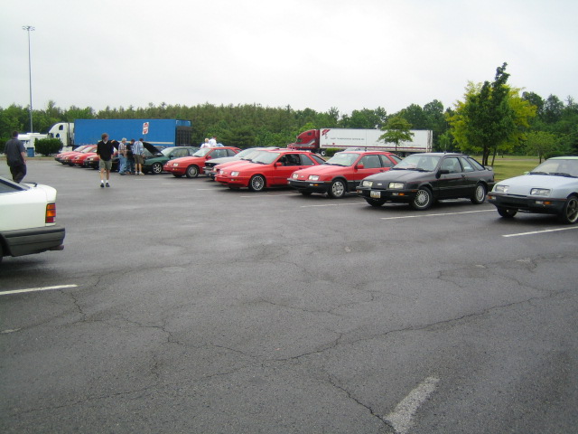 IMG_0333.jpg