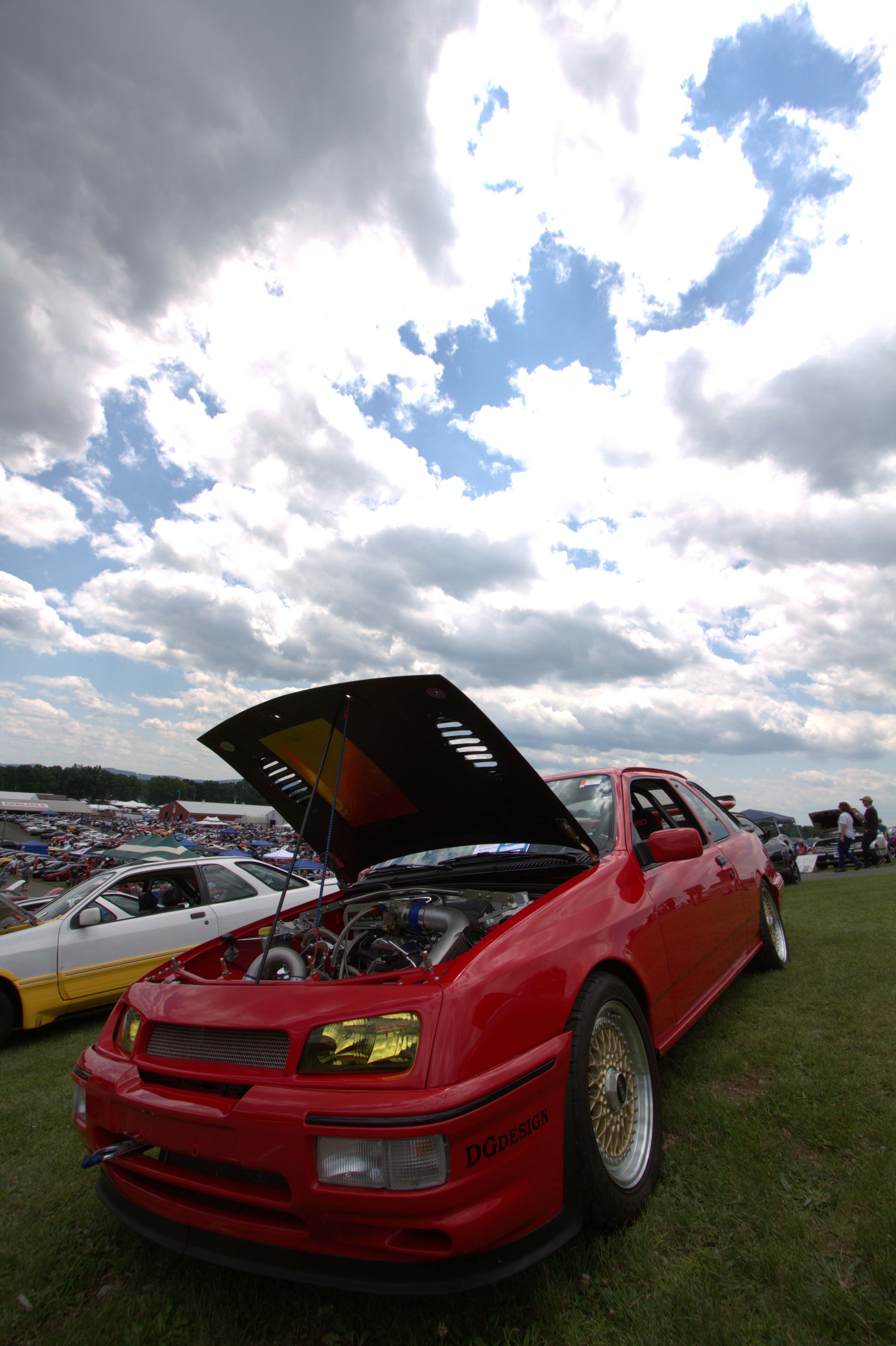 IMG_5278.jpg