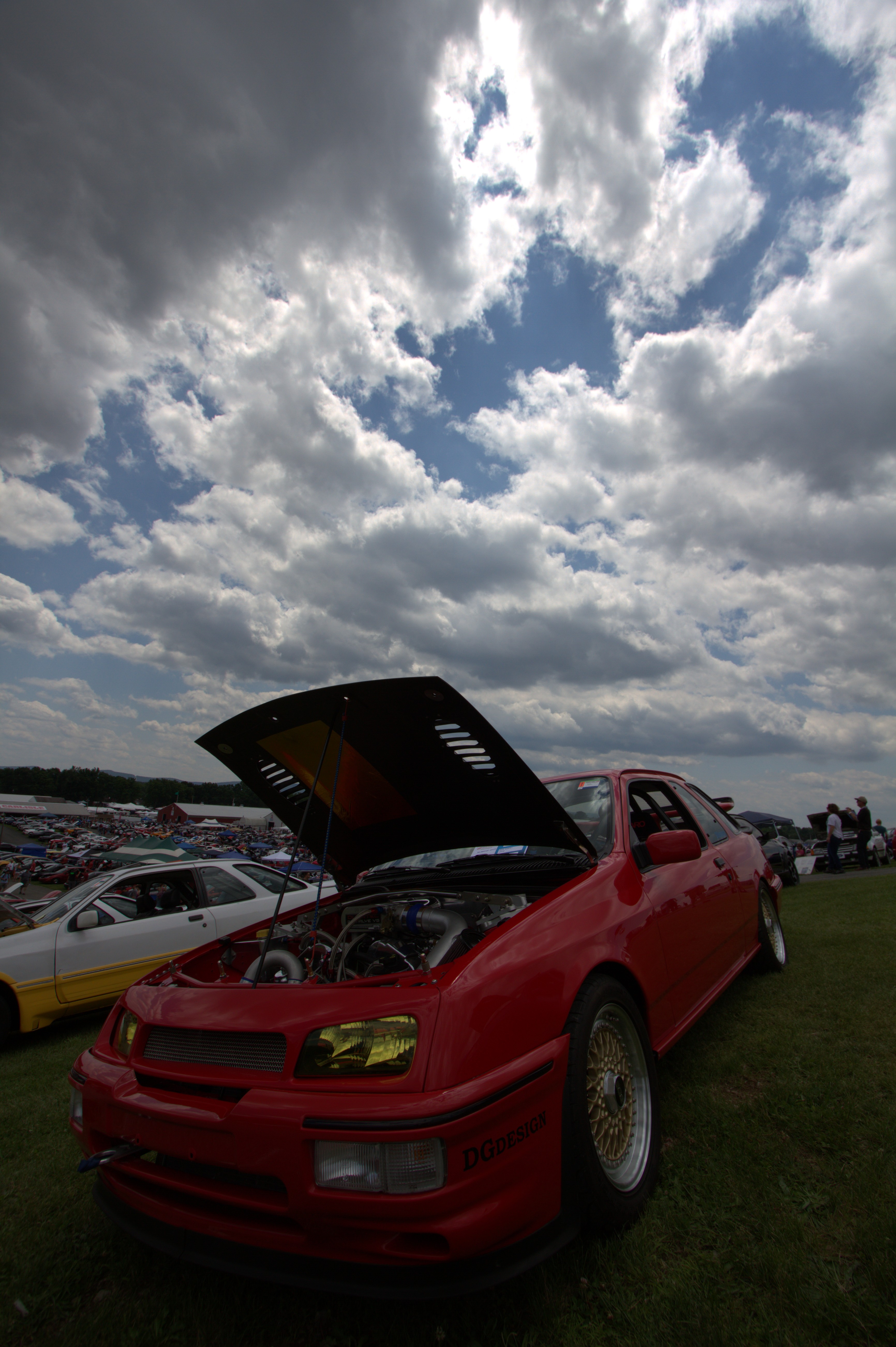 IMG_5279.jpg