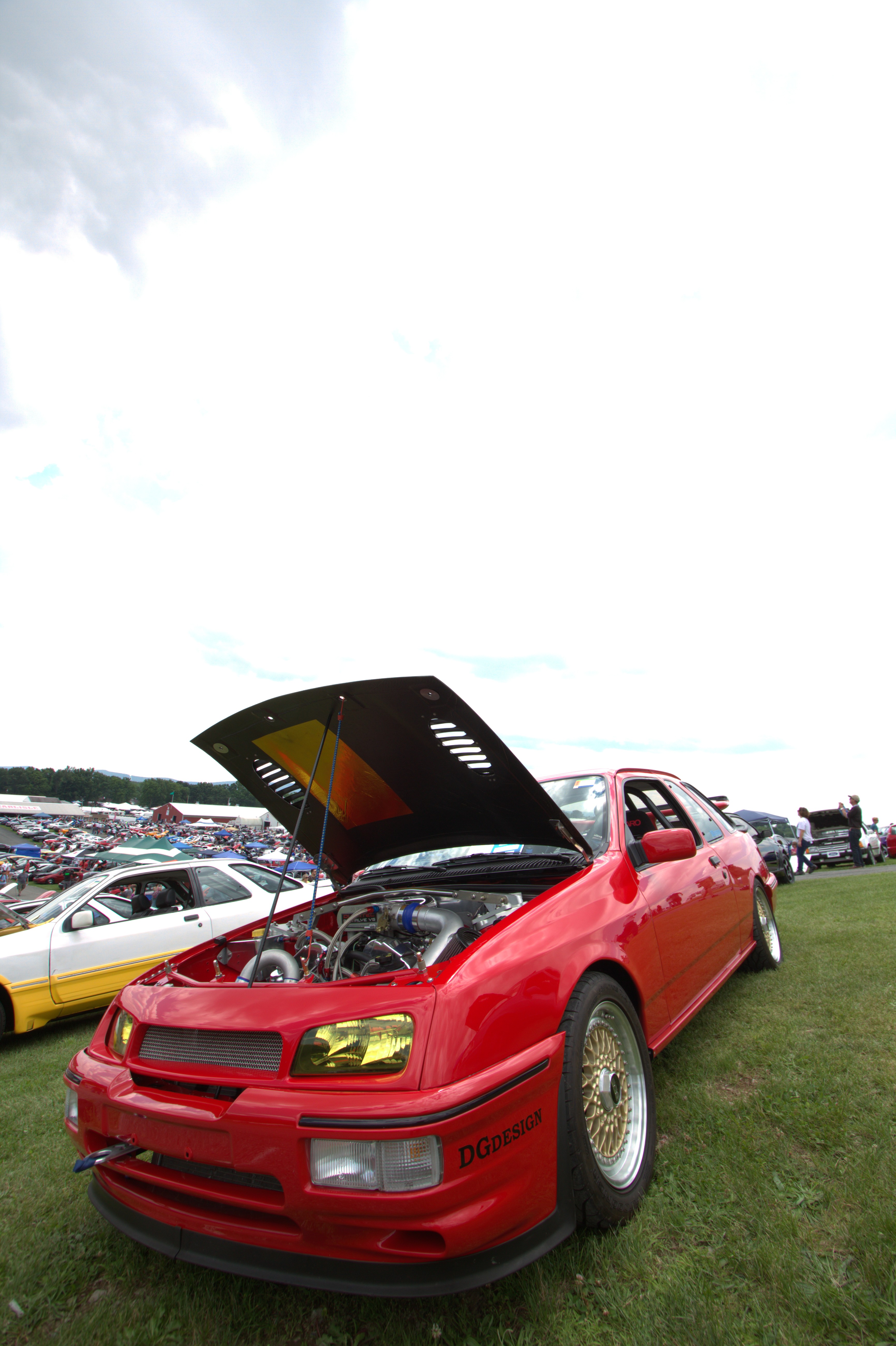 IMG_5280.jpg