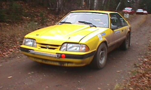 brok_mustang2.jpg