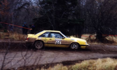 del2_mustang_.jpg