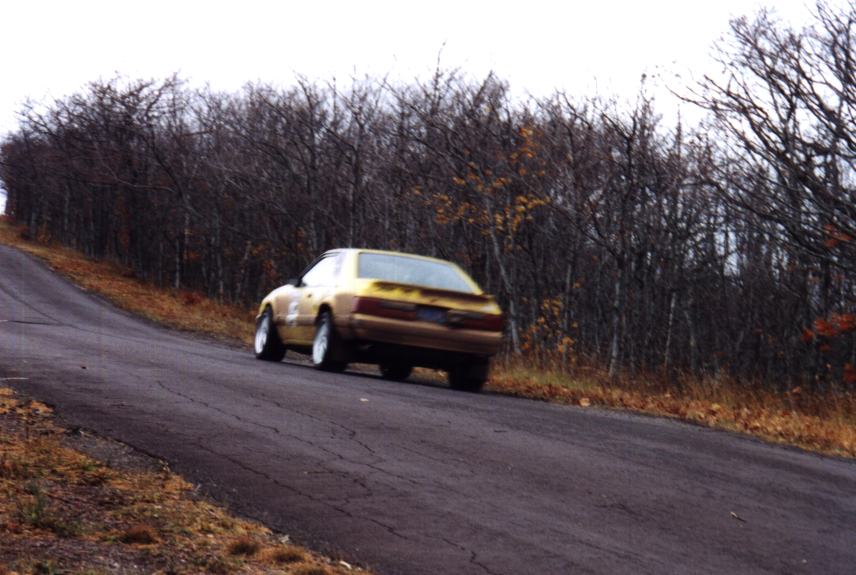 _brok_stang.jpg