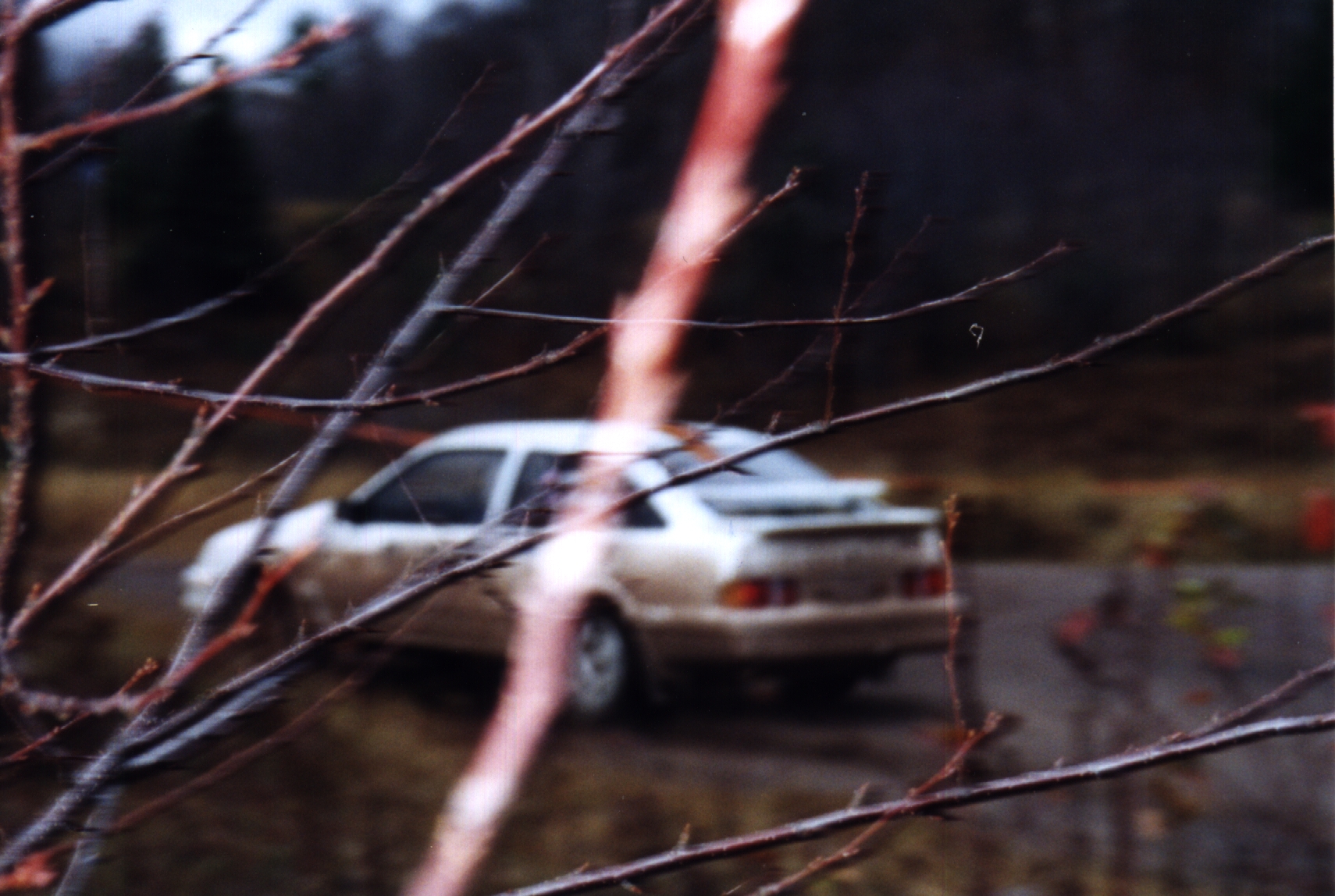 _del2_xr4ti2.jpg
