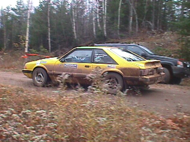 brok_mustang.jpg