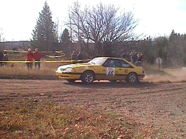 065-d1-stang.jpg