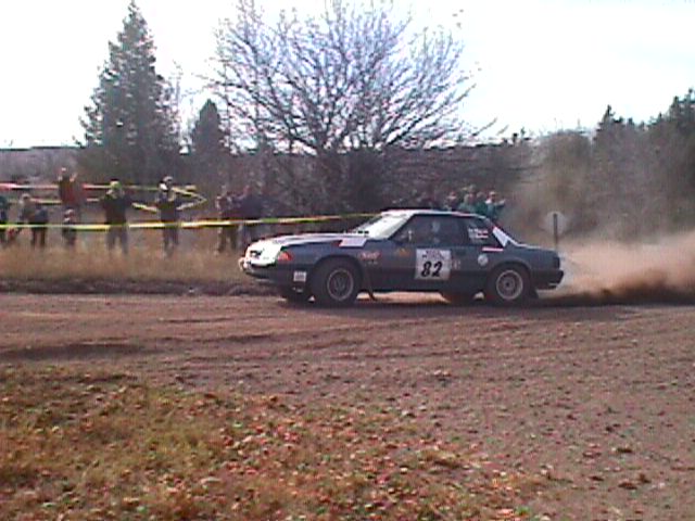082-d1-stang.jpg