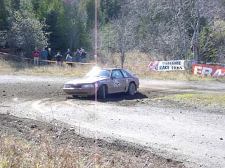 PA202231.jpg