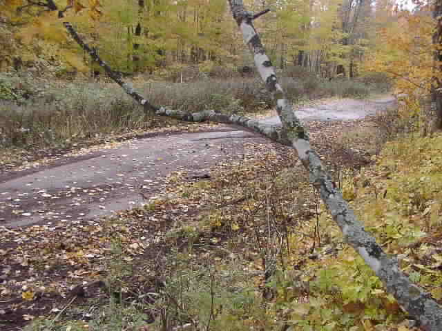 PA194813.JPG