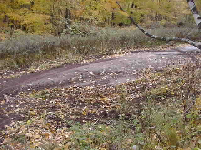 PA194814.JPG