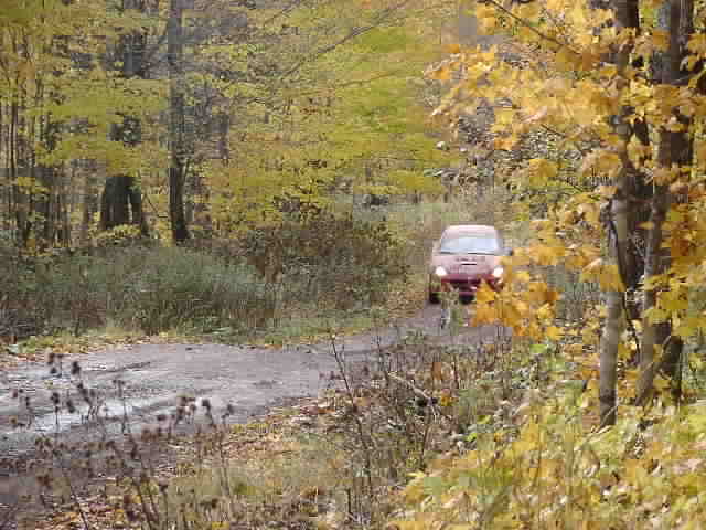 PA194910.JPG