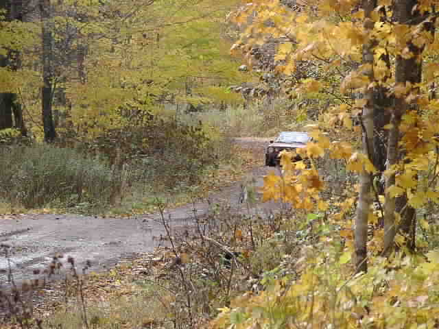 PA194923.JPG