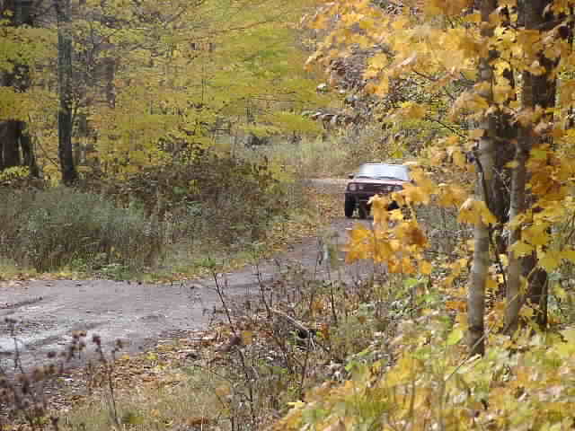 PA194924.JPG
