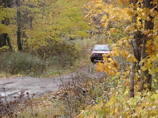PA194926.JPG