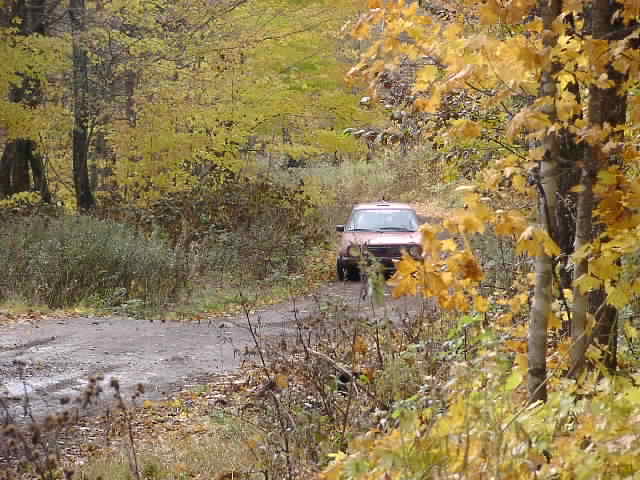 PA194928.JPG