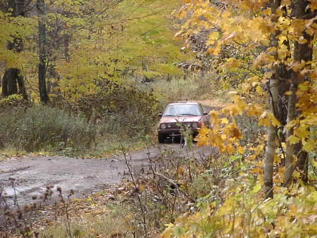 PA194929.JPG