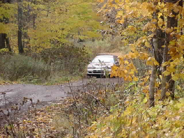 PA194975.JPG