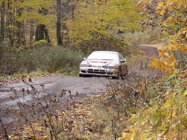 PA194980.JPG