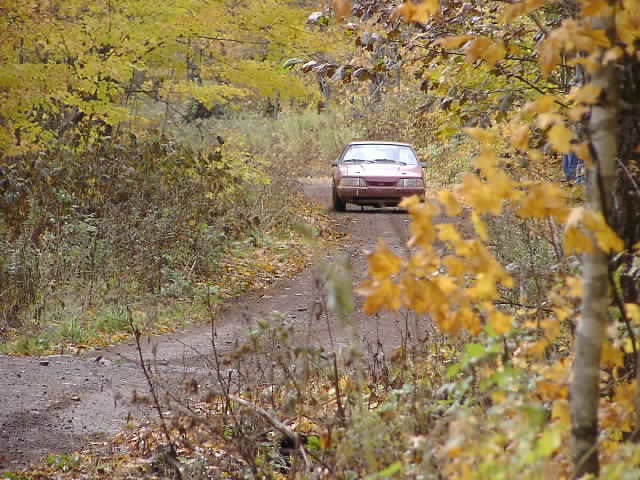 PA195024.JPG