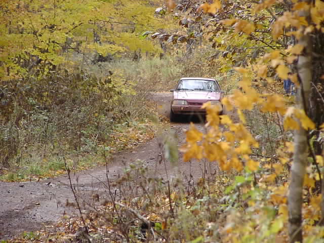 PA195027.JPG