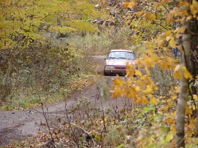PA195028.JPG