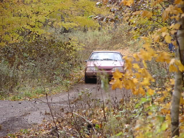 PA195035.JPG