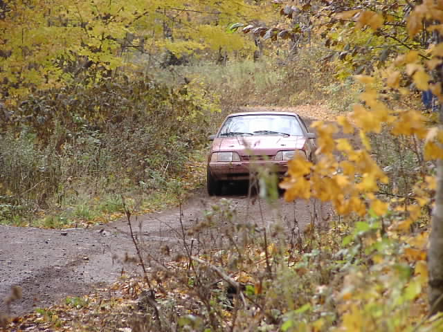 PA195036.JPG