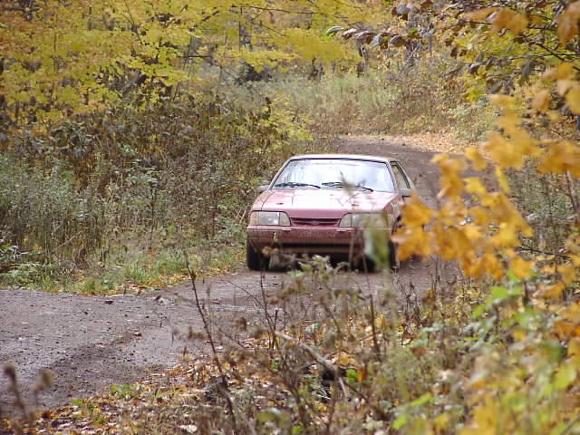 PA195038.JPG