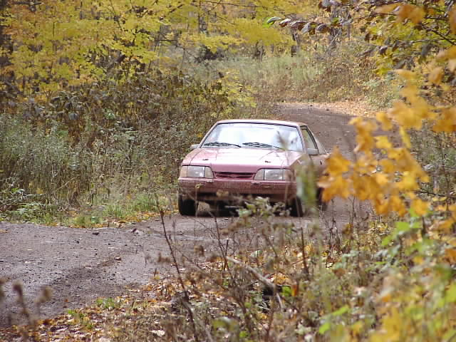 PA195039.JPG