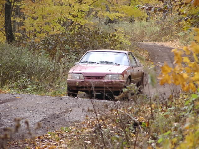 PA195041.JPG