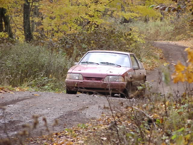 PA195042.JPG