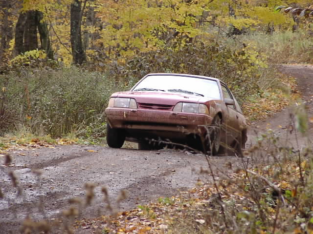 PA195043.JPG