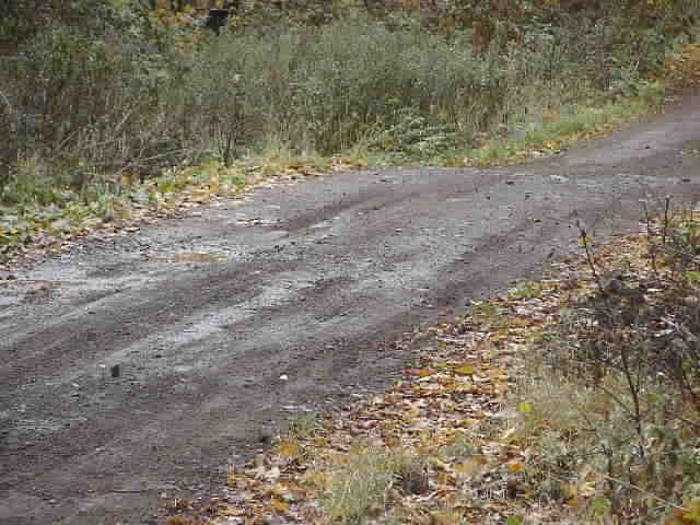 PA195082.JPG