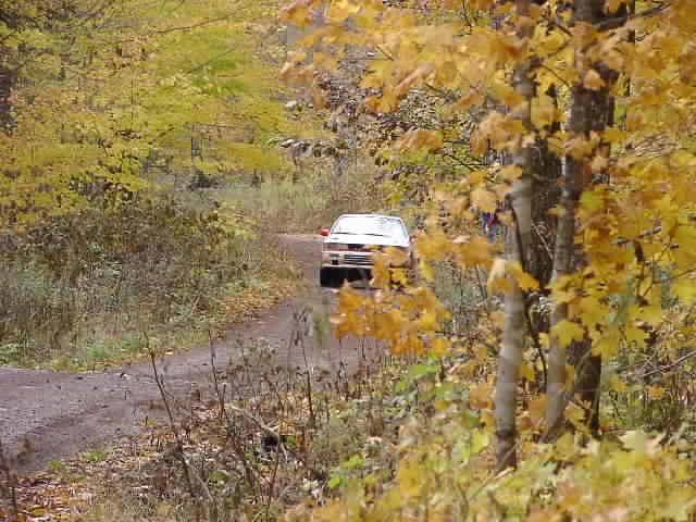 PA195100.JPG