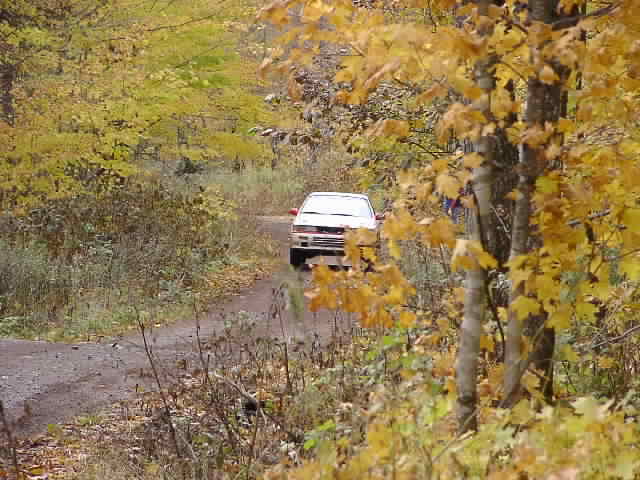PA195101.JPG