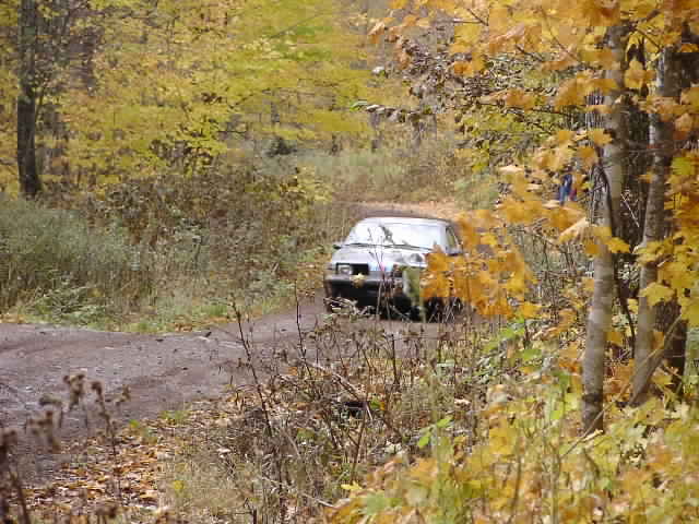 PA195126.JPG