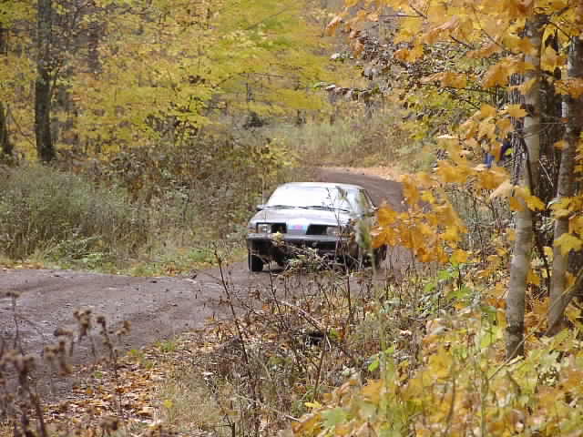 PA195128.JPG