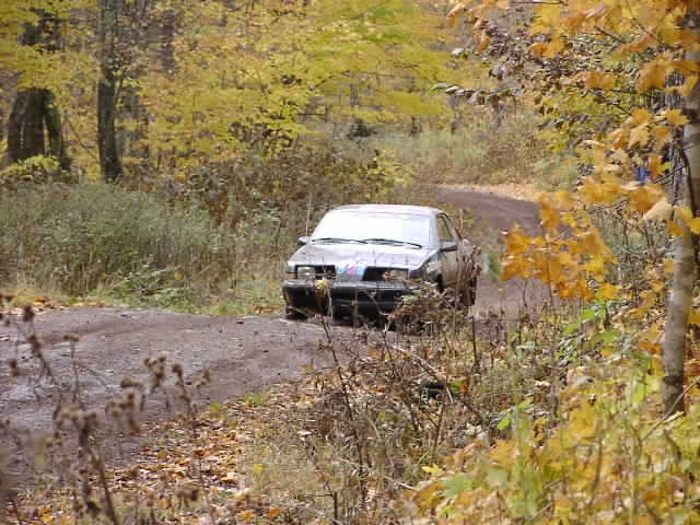 PA195130.JPG
