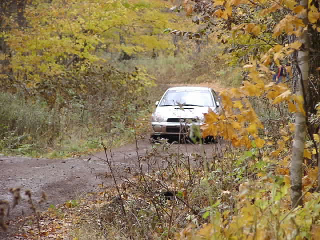 PA195179.JPG