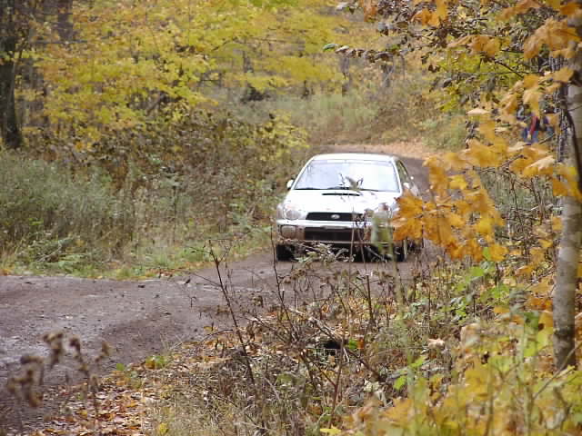 PA195180.JPG