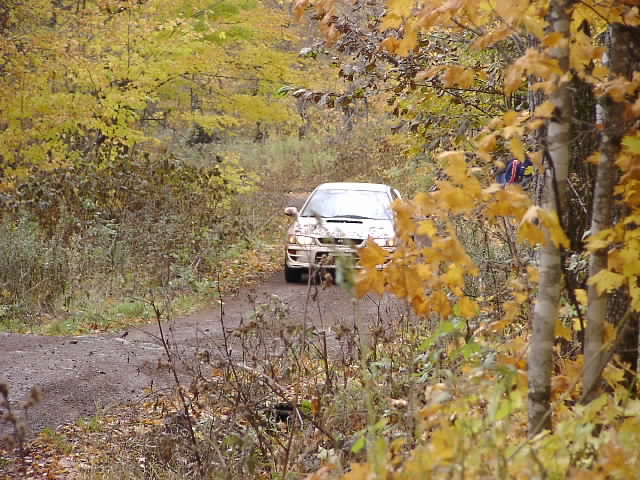 PA195198.JPG