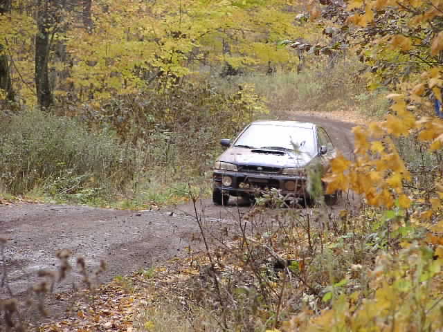 PA195220.JPG